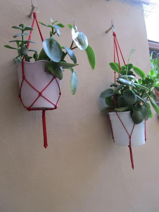 Il Piccolo Eden - Private Garden Appartement Livorno Buitenkant foto